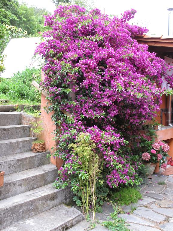 Casa Rural Enkartada Sopuerta Exterior photo